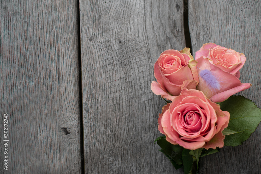 Three pink roses in a rustic background. Roses on a gray wooden background