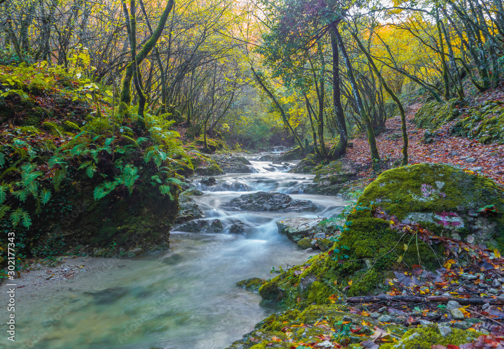 Monte Tancia (Rieti, Italy) - The suggestive waterfalls of torrent Galantina in the Appennini mountains, named Pozze del Diavolo, during the autumn with foliage Monte Tancia (Rieti, Italy) - The suggestive waterfalls of torrent Galantina in the Appennini mountains, named Pozze del Diavolo, during the autumn with foliage