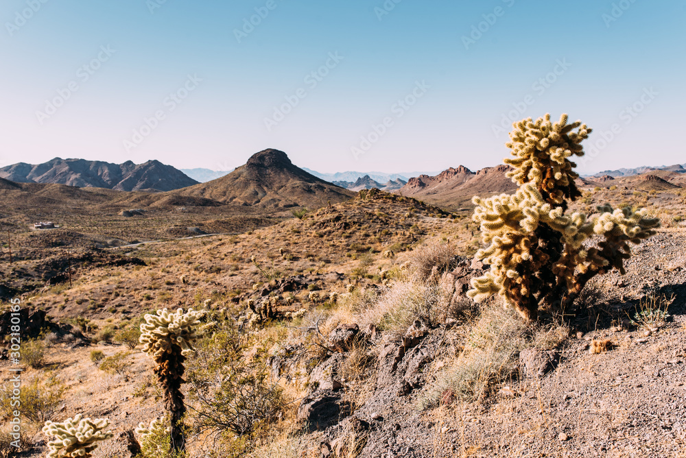 Karges Desert mit blauen Himmel im Südwesten der USA 