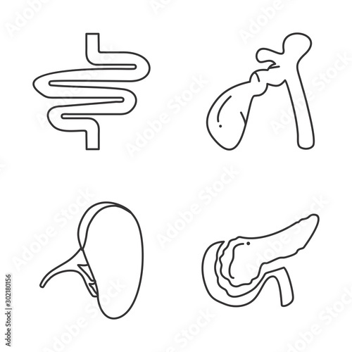 Set Of Universal Icons