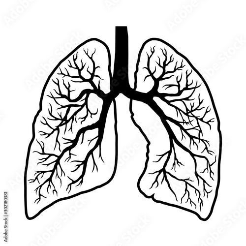 lungs line icon