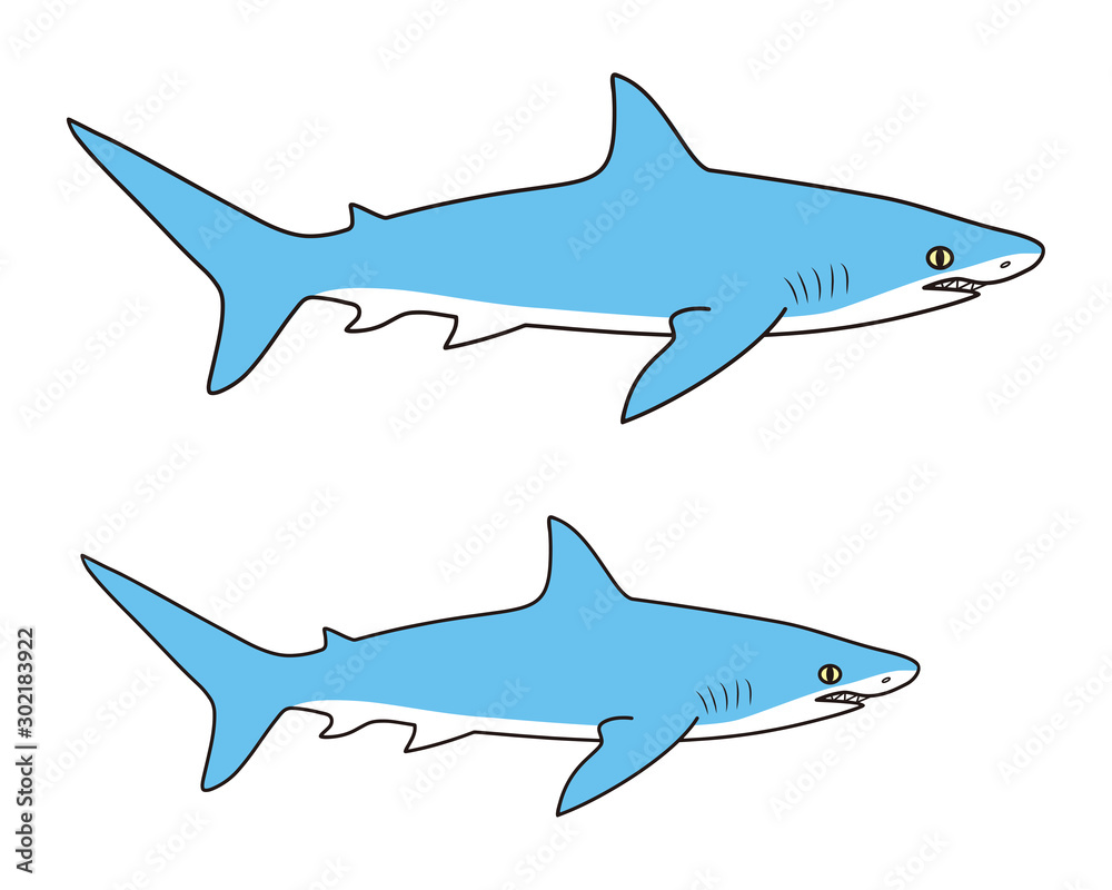 鮫 キャラクター ベクター イラスト Stock Vector Adobe Stock
