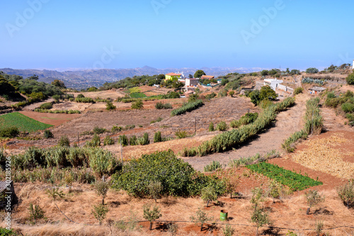 Landscape in Tropical Volcanic Canary Islands Spain photo