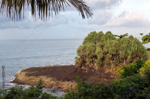 cape in the sea with lush tropical greenery, palm branch in the foreground. Indonesia, Bali