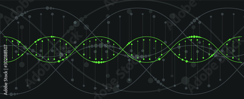 Vector illustration showing the structure of a DNA molecule on a black background.