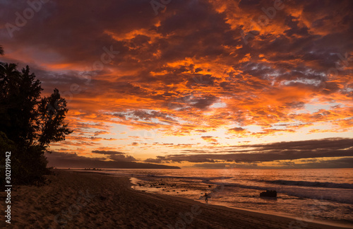 Beach Sunset