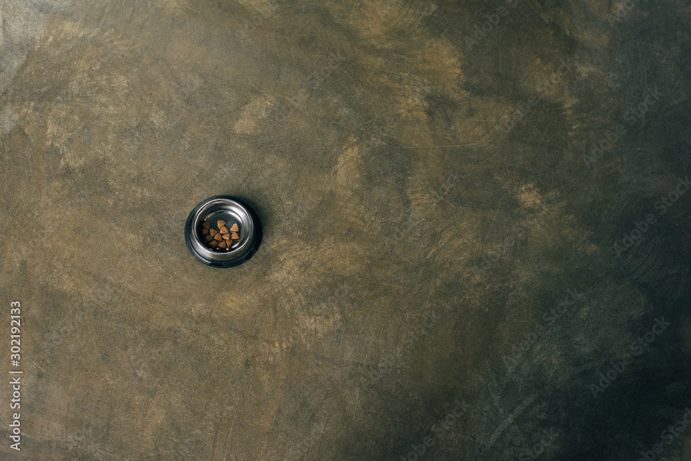 top view of metal bowl with pet food on dark surface with copy space top view of metal bowl with pet food on dark surface with copy space