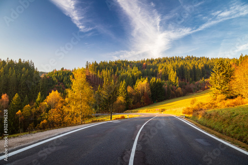 Road around the forests in autumn.