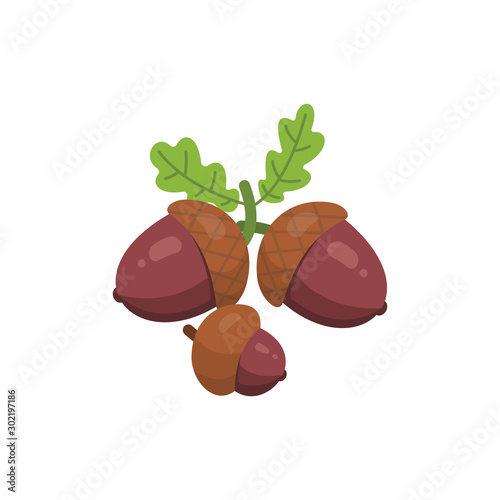 Acorn vector icon nuts in cartoon style. Nut food collection.