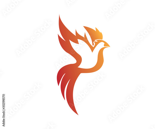 Simple Phoenix Logo Vector Design