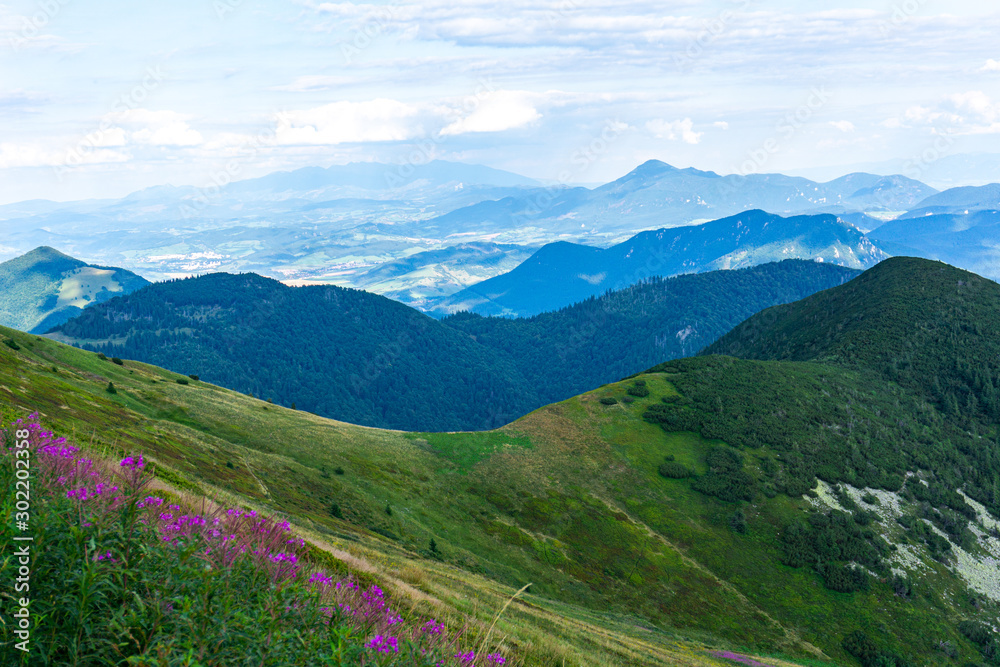 Beautiful view of the mountains on a sunny day in the summer. Western Carpathians, Slovakia, Little Fatra.