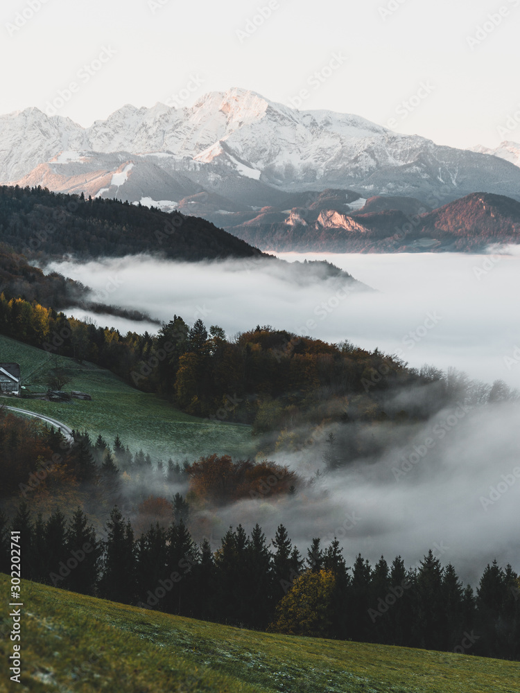 Fototapeta premium Nebel Sonnenaufgang