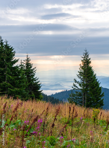 Picturesque mountain view on a summer evening. Western Carpathians, Slovakia, Little Fatra.