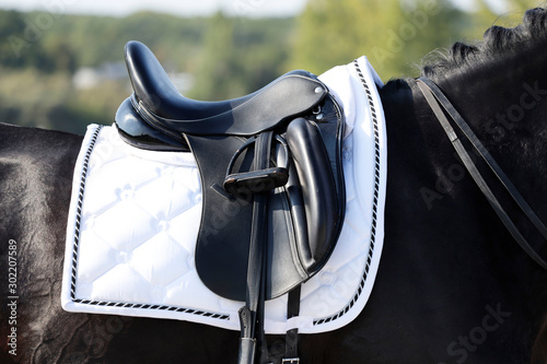 Side view of a black leather saddle on a horse's back. Close-up, cropped shot, horizontal. Sport and hobby concept.