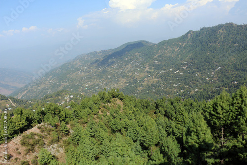Lush Green Pine Trees Forest and beautiful Landscape of Patriata, New Murree, Punjab, Pakistan photo