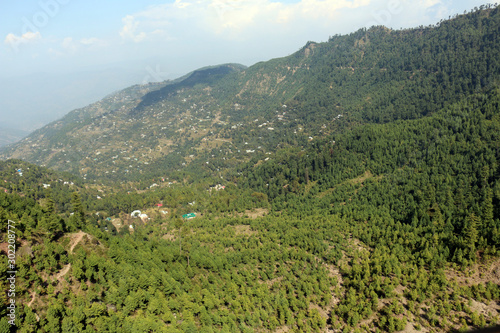 Lush Green Pine Trees Forest and beautiful Landscape of Patriata, New Murree, Punjab, Pakistan