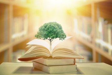 education concept with tree of knowledge planting on opening old big book in library with textbook, stack piles of text archive and aisle of bookshelves in school study class room