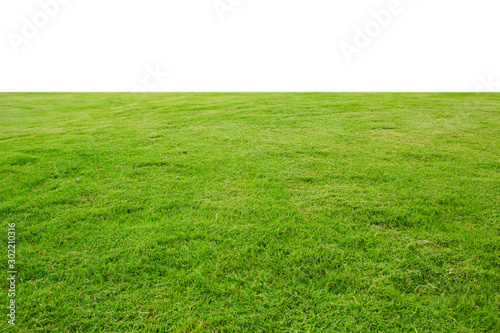 grass on green background © saranyoo