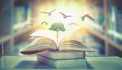  The concept of education by planting knowledge trees and birds flying to the future to open old books in the library, beautiful blurred background photo