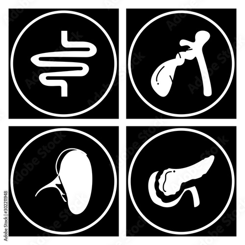 Set Of Universal Icons