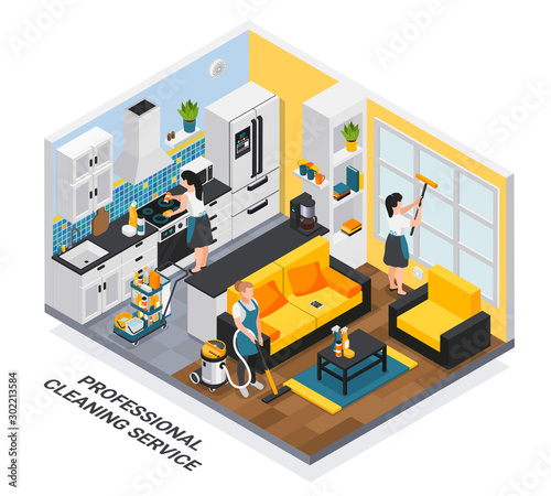 Professional Cleaning Service Composition