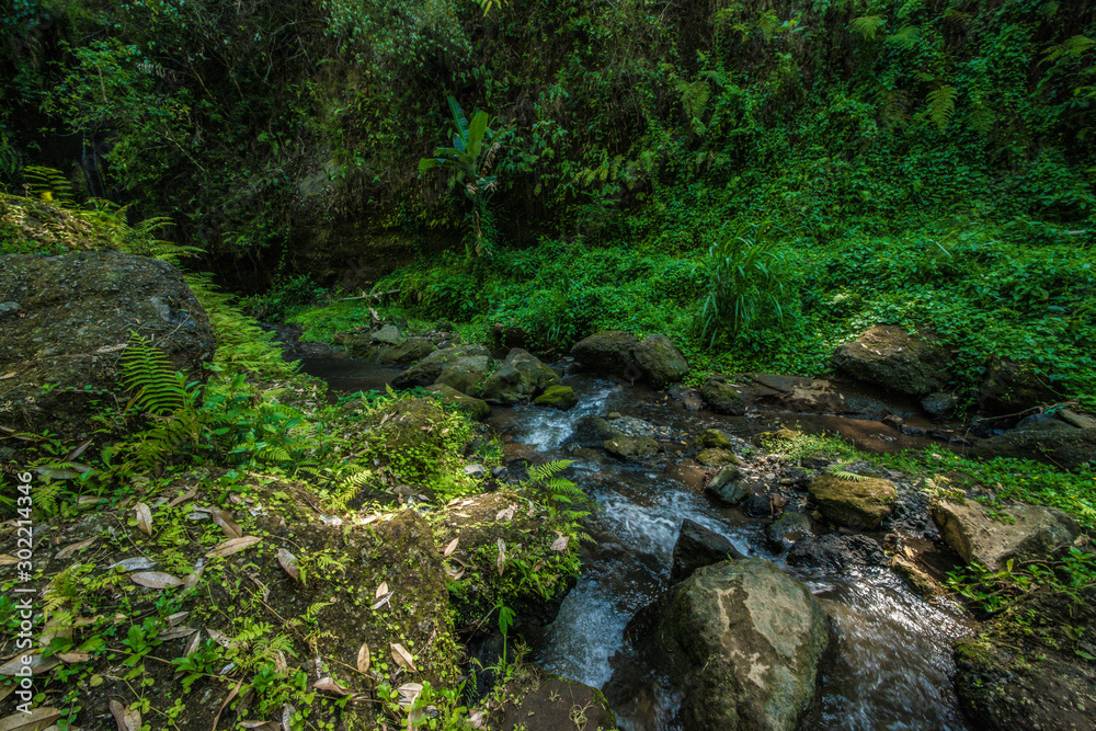 A beautiful view of Goah Raja Waterfall in Bali, Indonesia. A beautiful view of Goah Raja Waterfall in Bali, Indonesia.