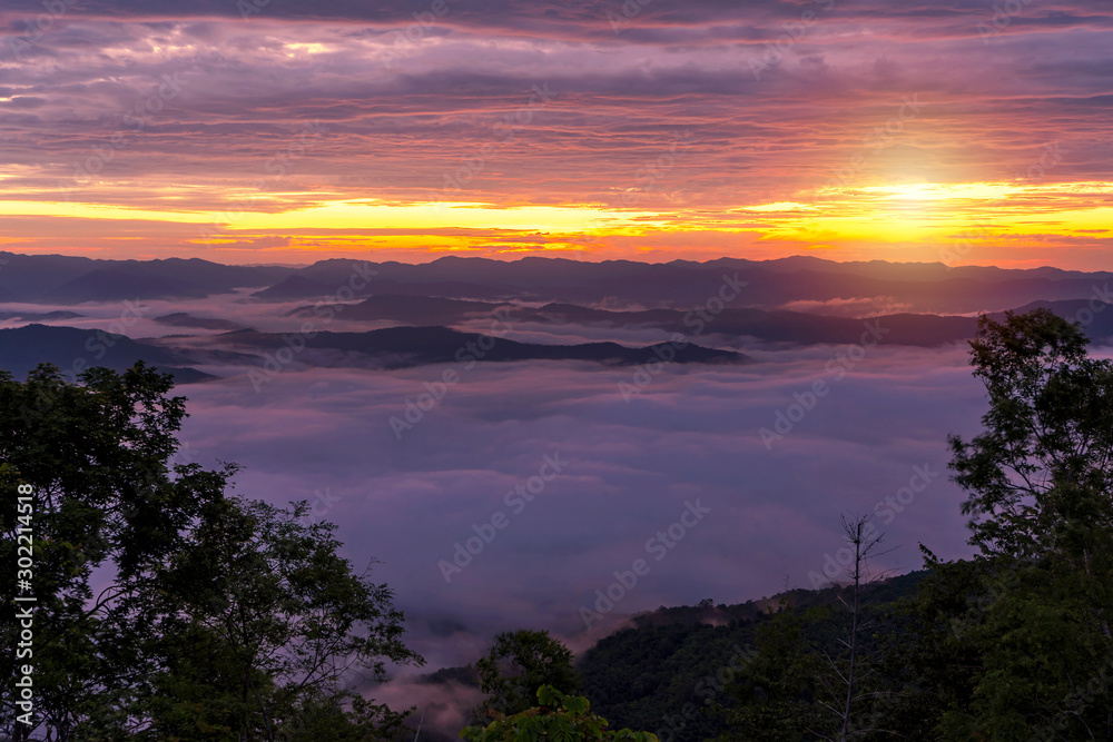 Dawn of Sea Fog on the top of the Sierra at Doi Samer Dao, Nan, thailand.