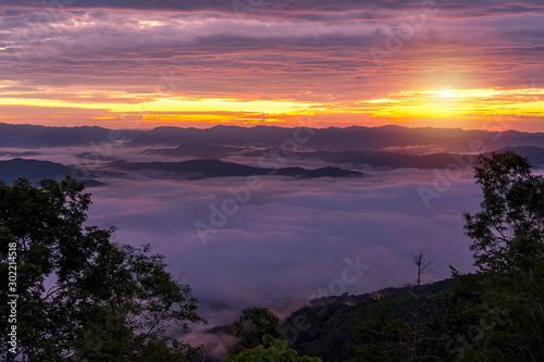 Dawn of Sea Fog on the top of the Sierra at Doi Samer Dao, Nan, thailand.