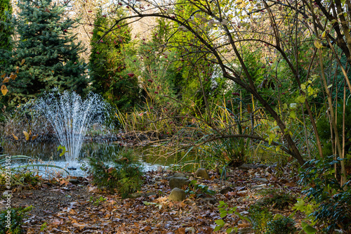 Magic pond with cascading fountain on emerald surface of water on blurry background of evergreens. Selective focus. Autumn landscape in evergreen garden. Nature concept for design.