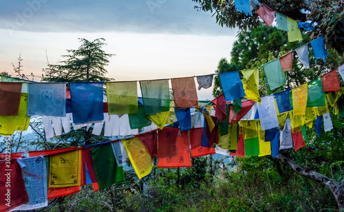 Prayer flags at Dharamsala, India © Zamarreñian