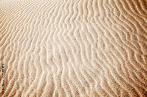 Canvas Print sand and wind patterns