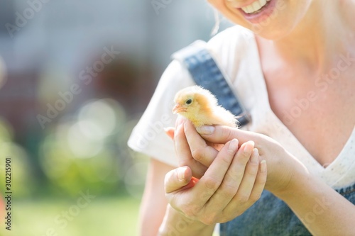 Stampa su tela Farmer holding baby chick ni farm