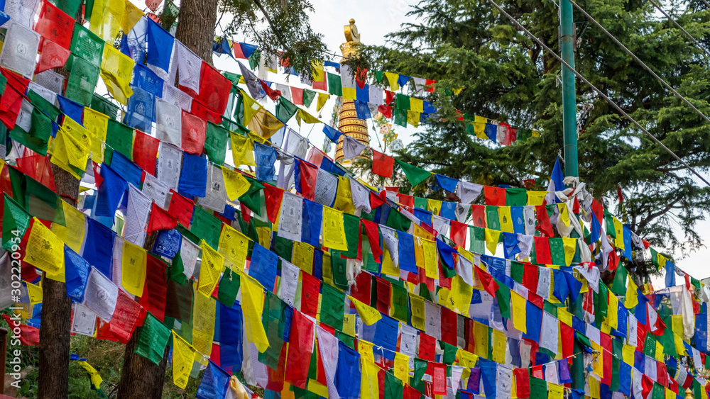 Prayer flags at Dharamsala, India Prayer flags at Dharamsala, India