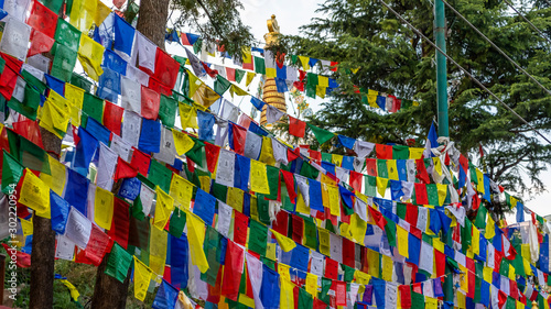 Prayer flags at Dharamsala, India