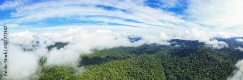 View from above, stunning panoramic view of the Taman Negara National Park with the tropical rainforest and beautiful soft clouds. Taman Negara National Park, Kuala Tahan, Pahang State, Malaysia.