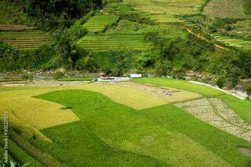 Rice fields on terraced of Mu Cang Chai, YenBai, Vietnam. Vietnam landscapes