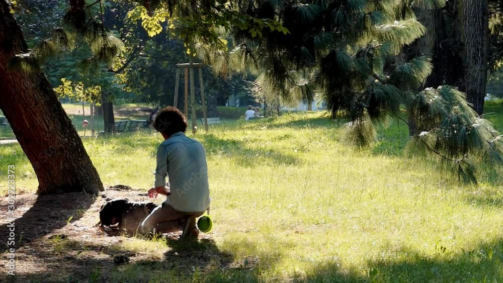 slow motion of young man cuddling his greyhound in a public park slow motion of young man cuddling his greyhound in a public park
