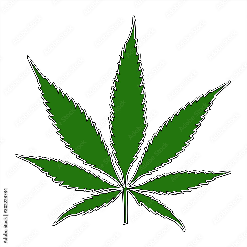 One marijuana leaf with black border isolated on white background, pattern illustration One marijuana leaf with black border isolated on white background, pattern illustration