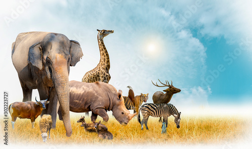 African safari and Asian animals in the theme illustration, filled with many animals, a white border image © Surasak