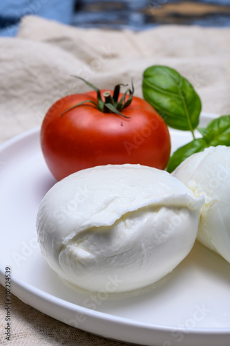 Cheese collection, organic mozzarella soft cheese served with ripe tomato and fresh green basil