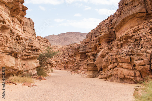 Colored canyon with red rocks. Egypt  desert  the Sinai Peninsula  Dahab.