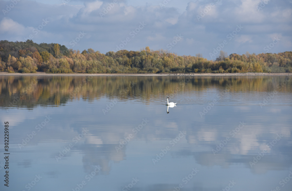 Autumn landscape with forest reflection on the lake in Poland.