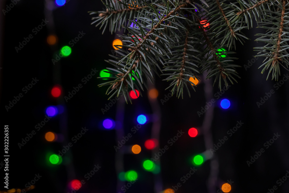 Christmas branch of spruce. New Year 2020. On a dark background bokeh