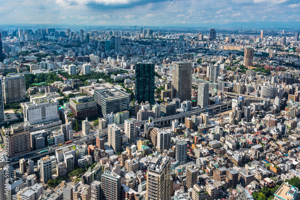 Aerial view of Tokyo from Tokyo Tower, Japan