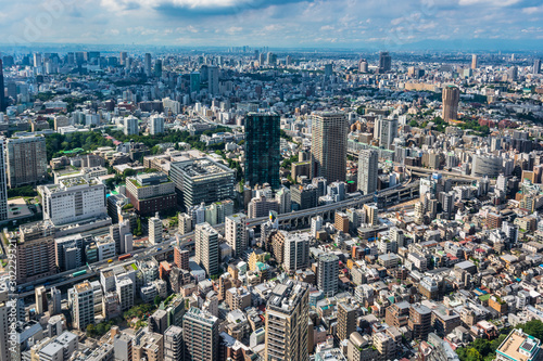 Aerial view of Tokyo from Tokyo Tower, Japan