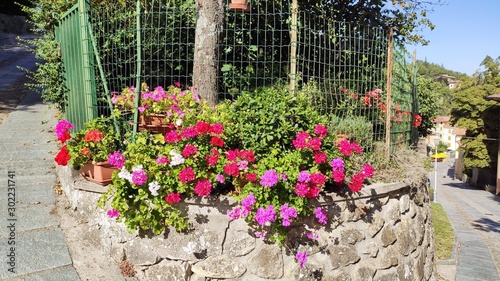 Wallpaper Mural Beautiful summer flowers on old village street Torontodigital.ca