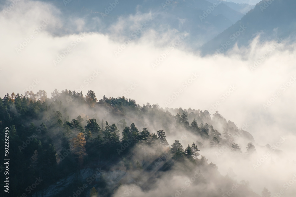 Forested mountains are visible through morning fog. Autumn Altai.