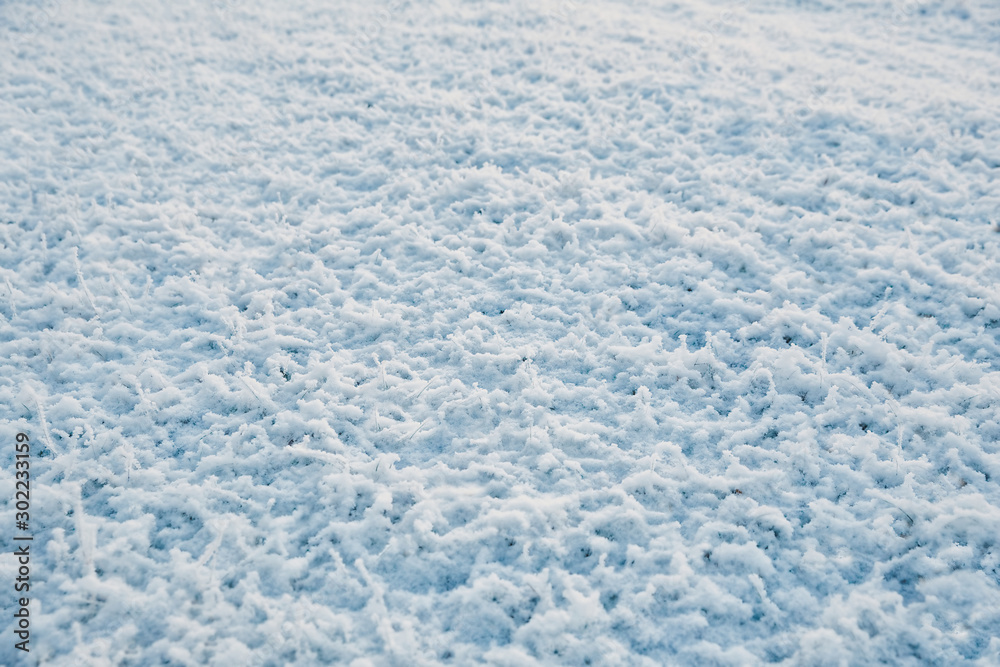 Snow covered frozen grass. White winter texture, top down view. Snow covered frozen grass. White winter texture, top down view.