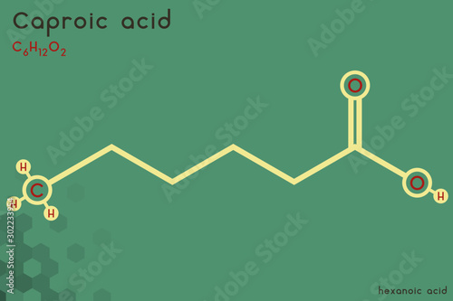 Large and detailed infographic of the molecule of Caproic acid photo