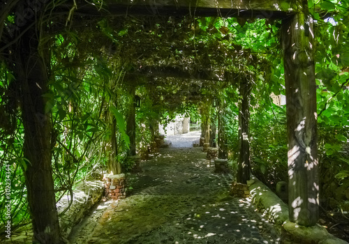 old alley overgrown with green ivy